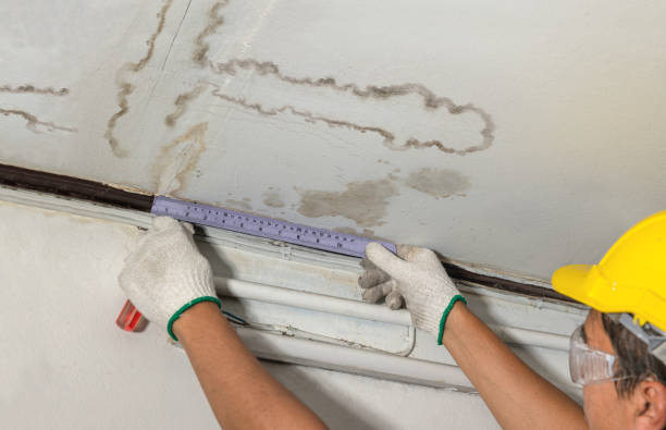 Reliable Water Damage contractor in Osseo, MI by Water Damage Irwin